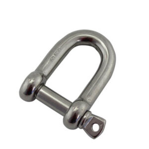 AIS 316 25mm D Shackle Screw Pin Europea
